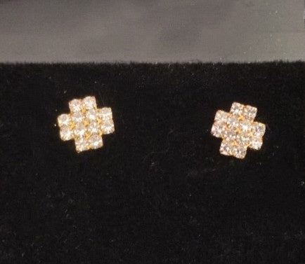 Stone Stud earring